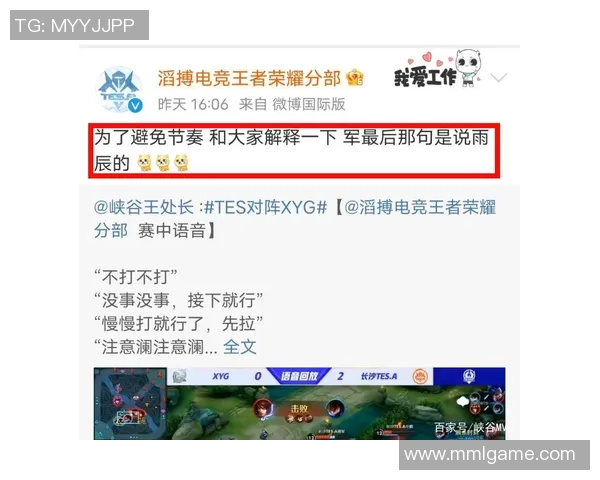 TES边路渗透策略分析及其在王者荣耀中的得失评估