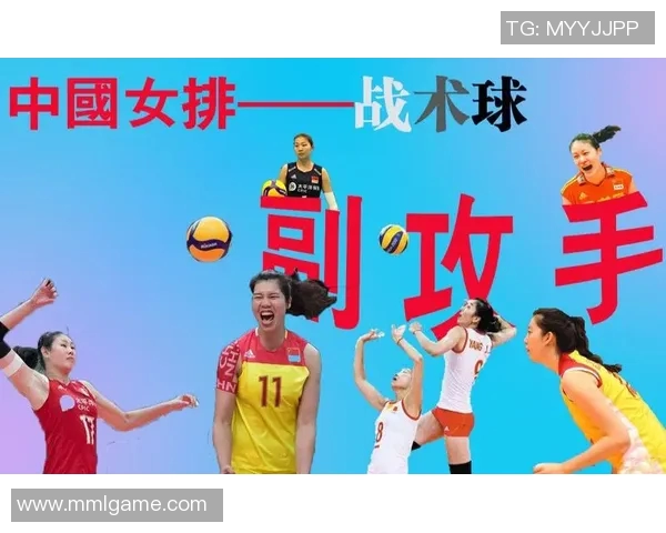 成都排球队反击体系解析：排球战术的创新与实践探索